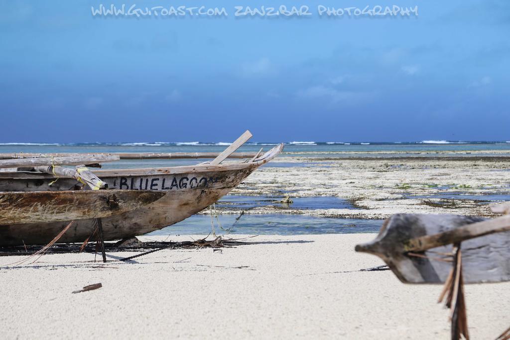 فندق Albatross Ocean View Dongwe المظهر الخارجي الصورة