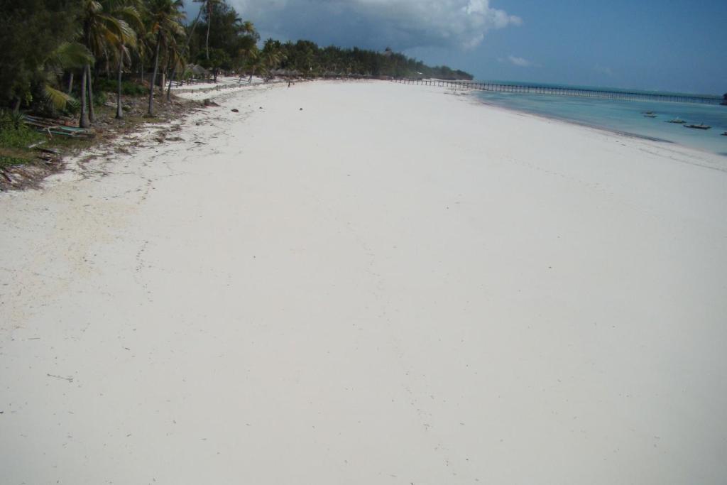 فندق Albatross Ocean View Dongwe المظهر الخارجي الصورة