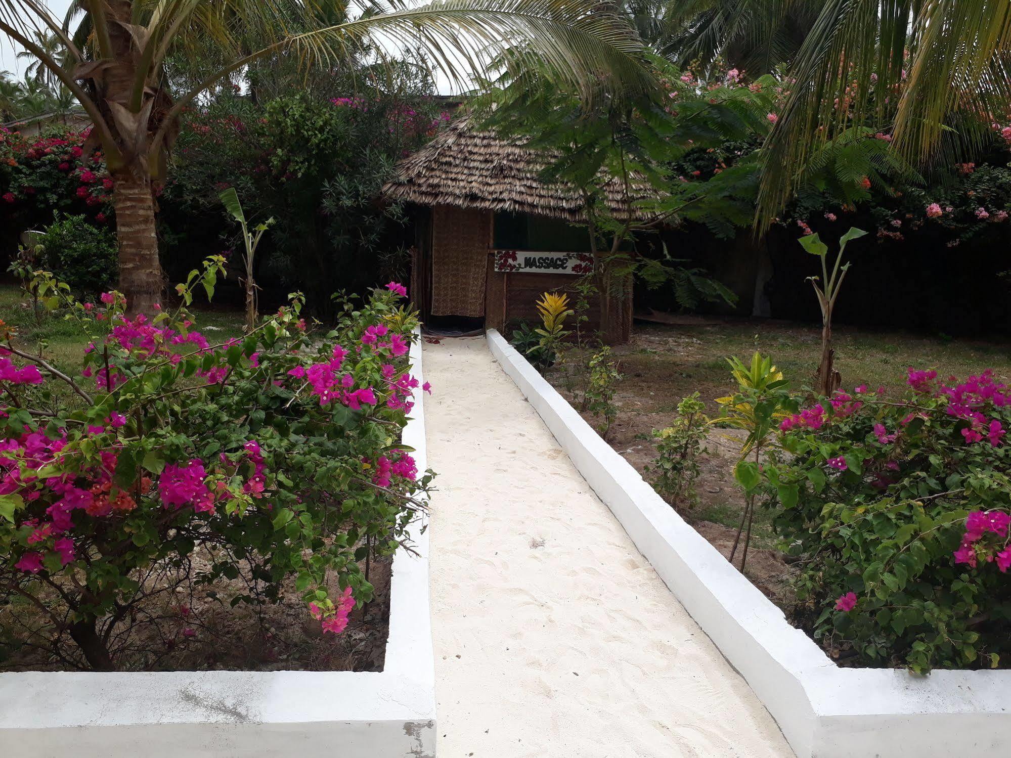 فندق Albatross Ocean View Dongwe المظهر الخارجي الصورة