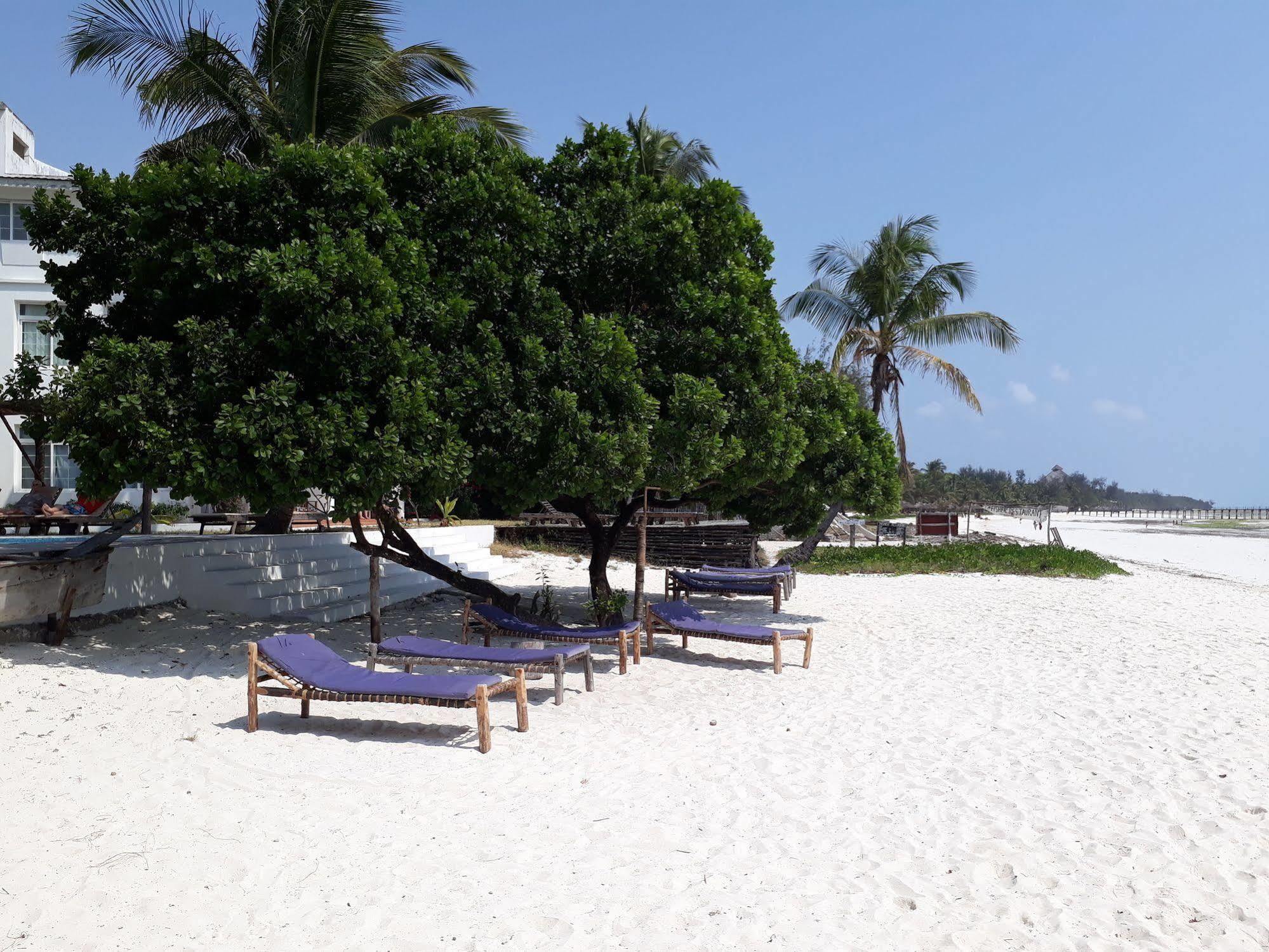 فندق Albatross Ocean View Dongwe المظهر الخارجي الصورة