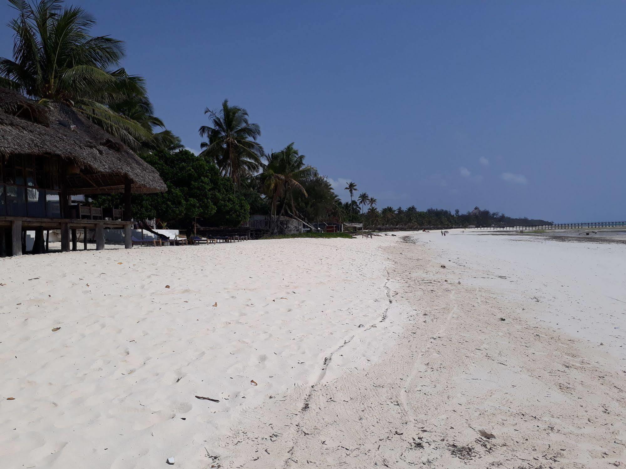 فندق Albatross Ocean View Dongwe المظهر الخارجي الصورة