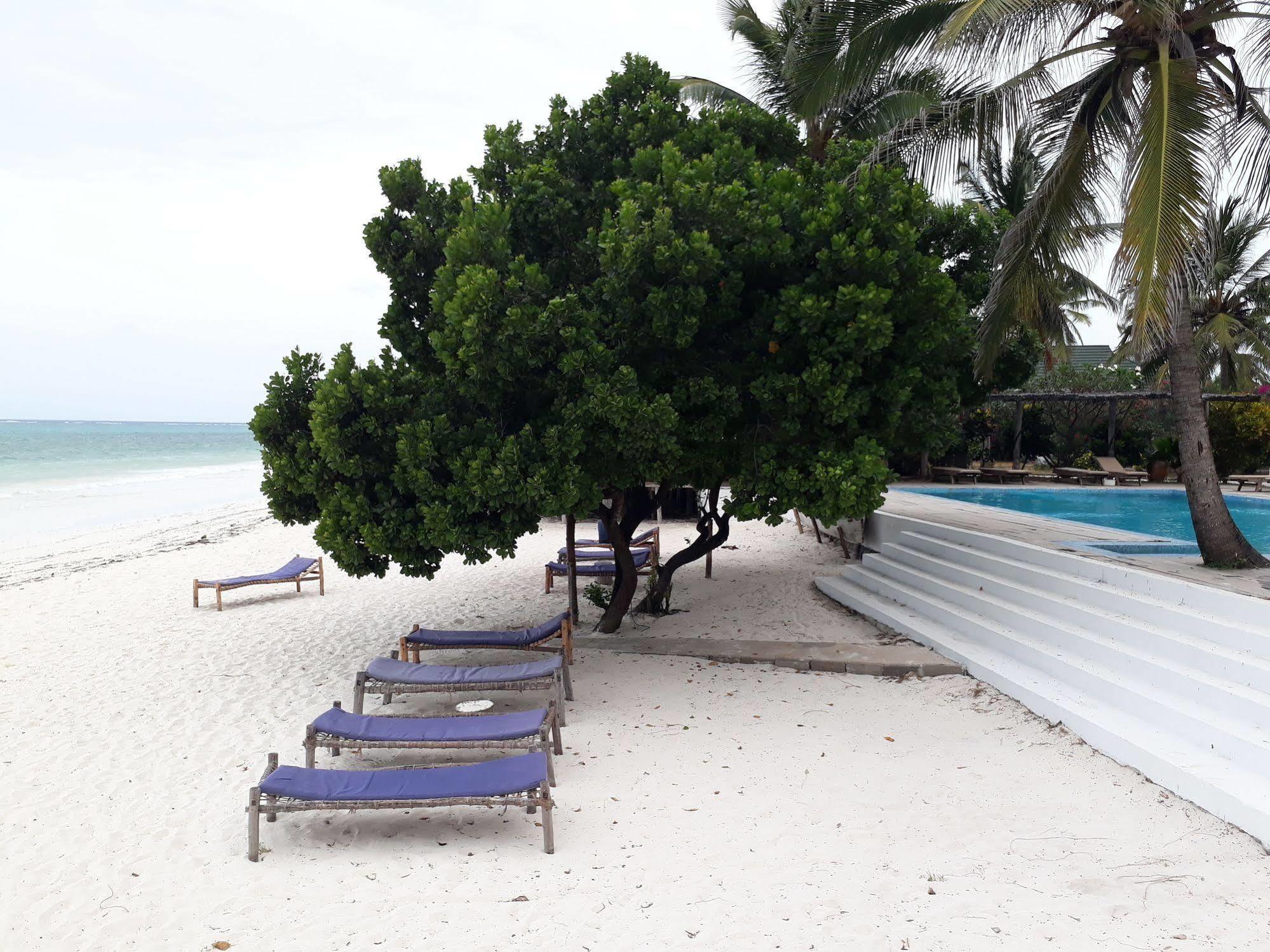 فندق Albatross Ocean View Dongwe المظهر الخارجي الصورة